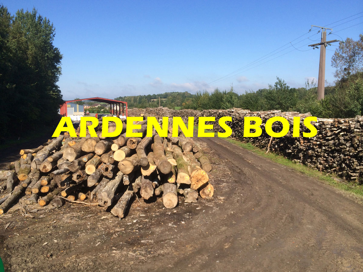 Bien Comprendre Vos Besoins en Bois de Chauffage avec Ardennes Bois